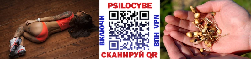 где купить   Ставрополь  Псилоцибиновые грибы ЛСД 